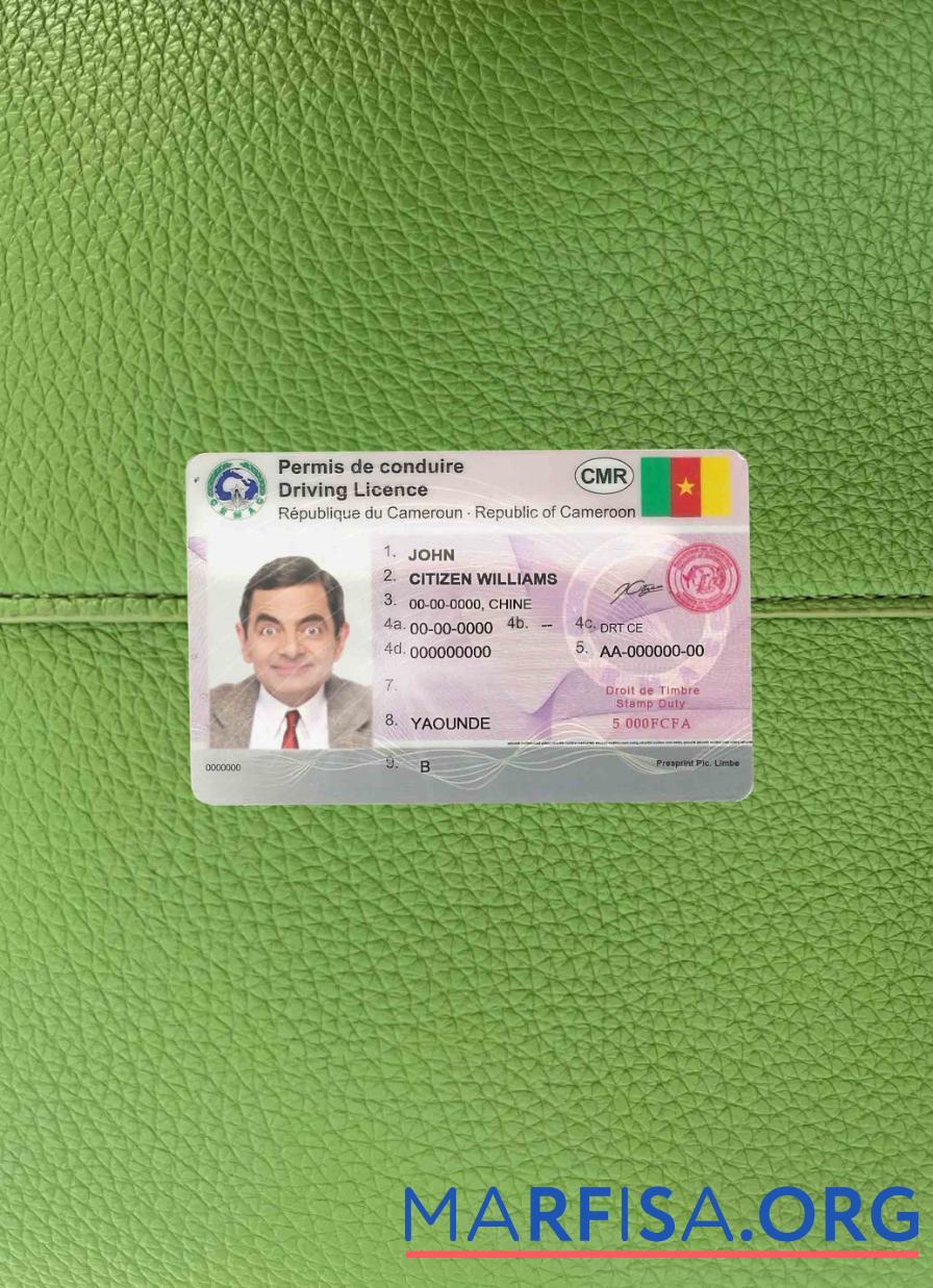 Downloadable Cameroon DL photolook sample